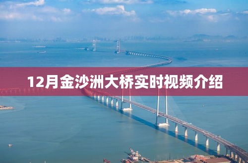 金沙洲大桥实时视频观察，12月交通实况解析