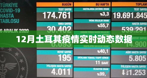 土耳其十二月疫情实时更新数据