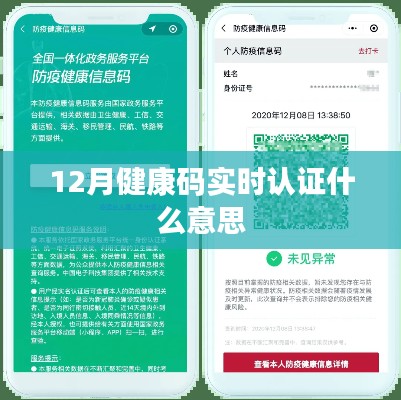刚毅木讷 第3页