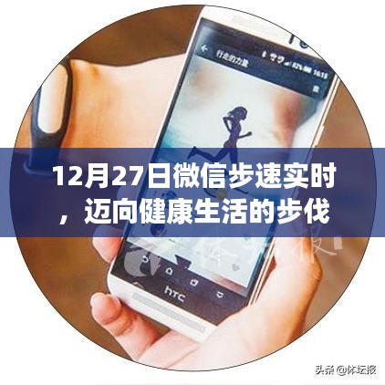 撺哄鸟乱 第3页