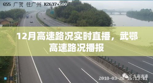最新路况播报