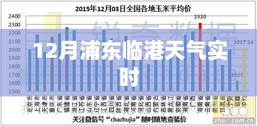 浦东临港天气预报实时查询