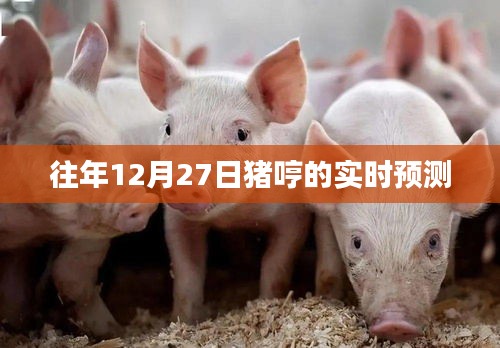 猪哼历年12月27日实时预测分析