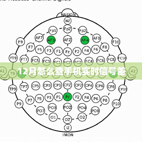 12月指南