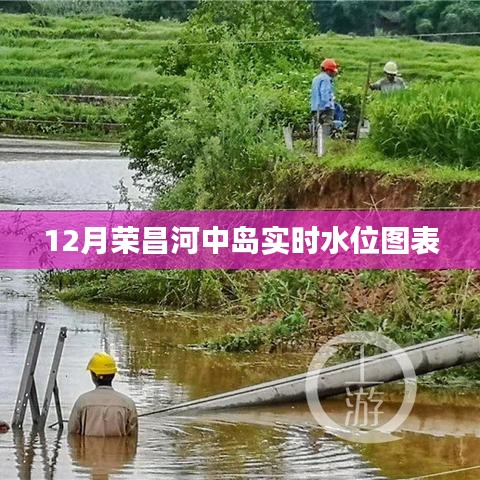 荣昌河中岛实时水位图表（动态更新）