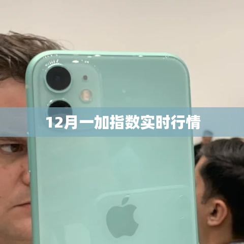 行情分析