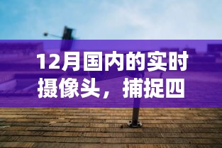 年终实时摄像头记录冬日温暖瞬间