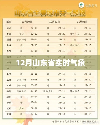 山东省实时气象报告