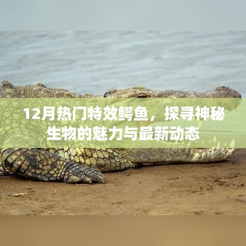 学贯中西 第3页