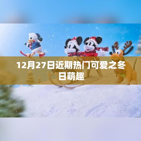 冬日萌趣，12月27日热门可爱精选