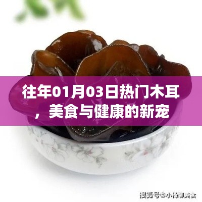 飞禽走兽 第2页