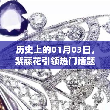 紫藤花引领潮流，历史上的今天，一月三日热议话题