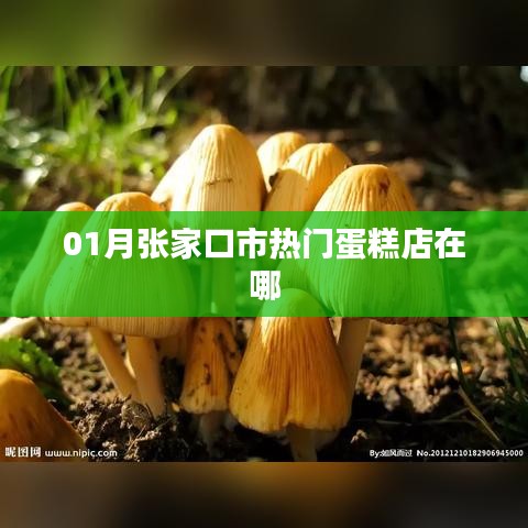 张家口一月热门蛋糕店推荐