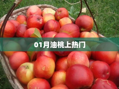 热门水果