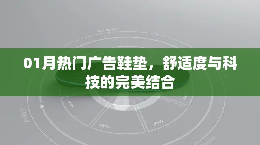 热门广告鞋垫，舒适度与科技的完美融合