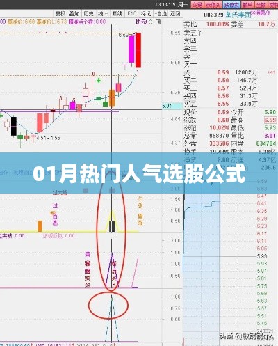 鸟骇鼠窜 第3页