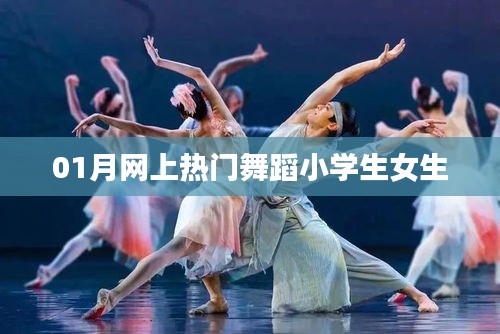 全网引爆