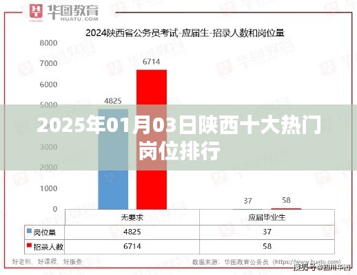 逆风飞扬 第3页