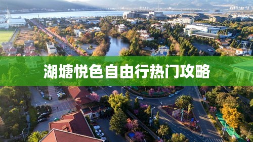 指南