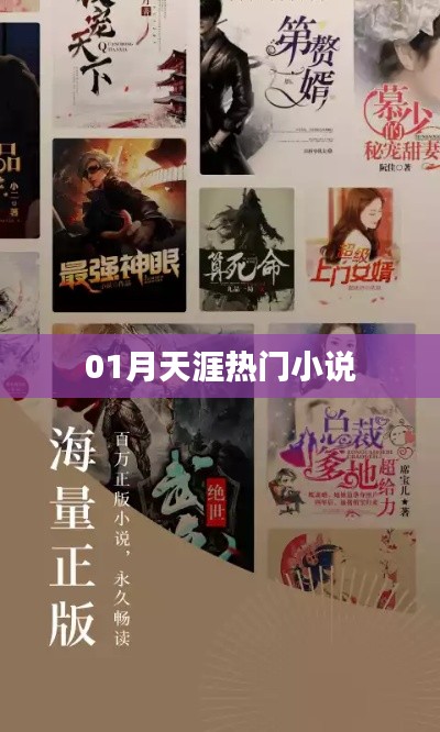 衣无二彩 第2页