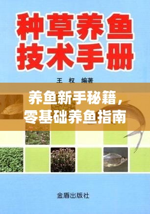 养鱼新手秘籍，零基础养鱼指南（最新版）