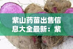 继晷焚膏 第3页