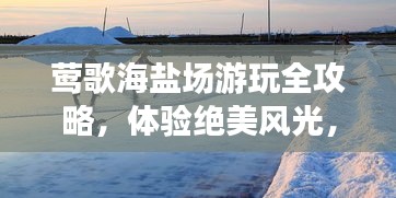 莺歌海盐场游玩全攻略，体验绝美风光，尽享海滨度假！