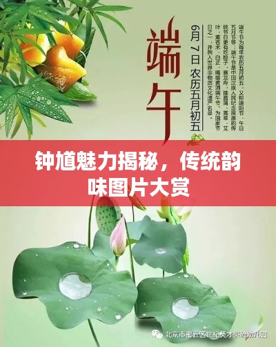钟馗魅力揭秘，传统韵味图片大赏