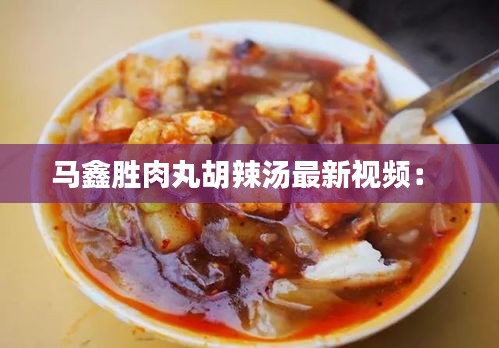 马鑫胜肉丸胡辣汤最新视频： 