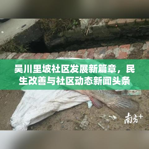 夫妻本是同林鸟 第3页