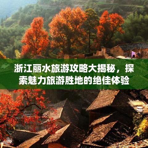 步履如飞 第2页
