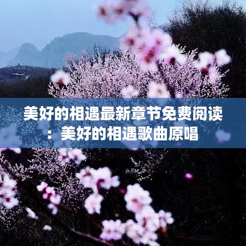 美好的相遇最新章节免费阅读：美好的相遇歌曲原唱 