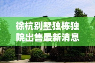 鸷鸟不群 第3页