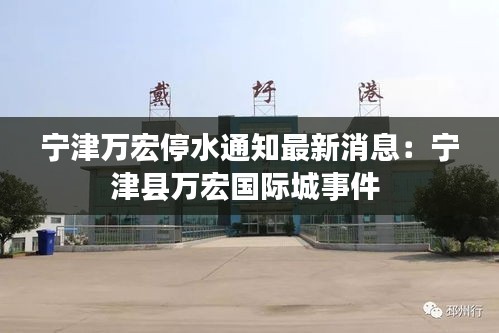 鸟吏鳖官 第2页