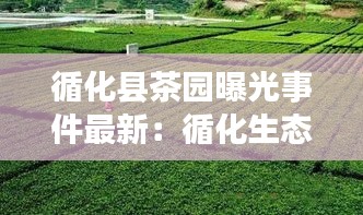 循化县茶园曝光事件最新：循化生态园 