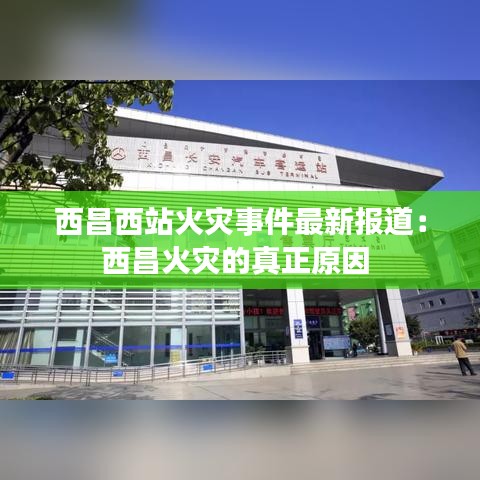 望其项背 第2页