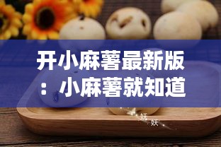 开小麻薯最新版：小麻薯就知道吃第一弹手帐 