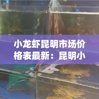 洵属可贵 第2页