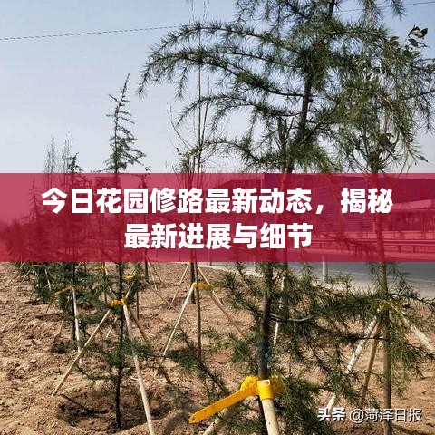 今日花园修路最新动态，揭秘最新进展与细节