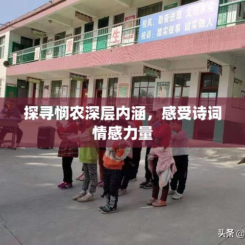 探寻悯农深层内涵，感受诗词情感力量