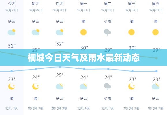 桐城今日天气及雨水最新动态