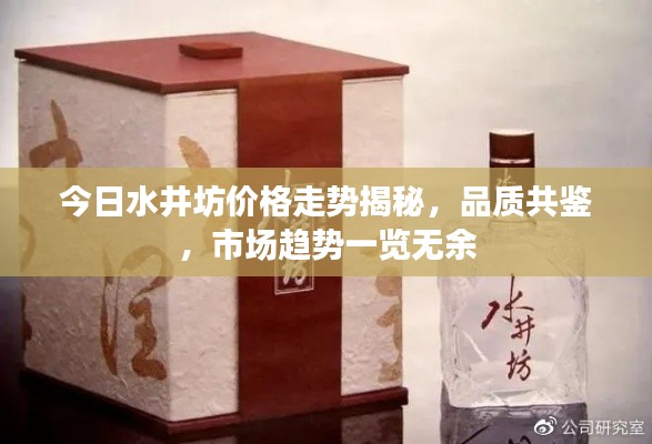 今日水井坊价格走势揭秘，品质共鉴，市场趋势一览无余