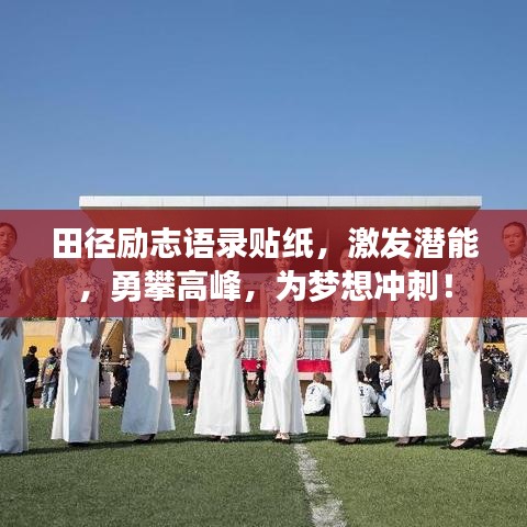 田径励志语录贴纸，激发潜能，勇攀高峰，为梦想冲刺！