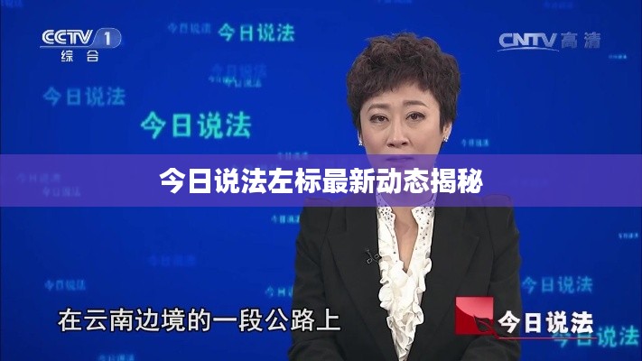 今日说法左标最新动态揭秘