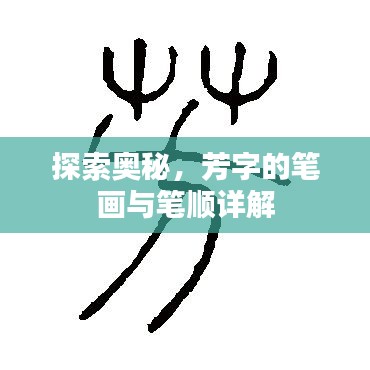 一知半解 第2页