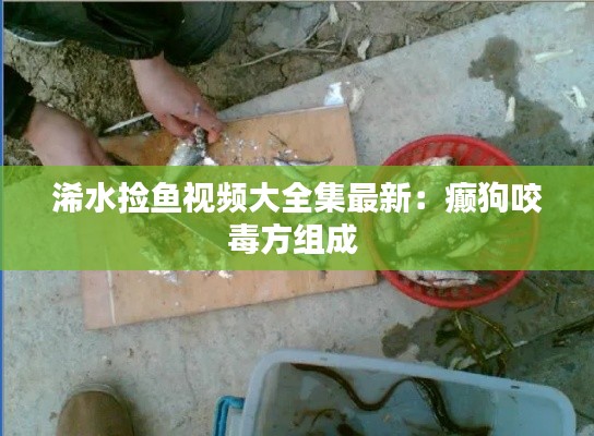 鸟惊鱼骇 第2页