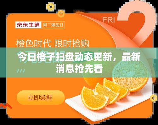 张袂成帷 第2页