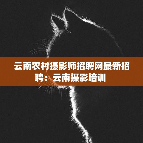 云南农村摄影师招聘网最新招聘：云南摄影培训 