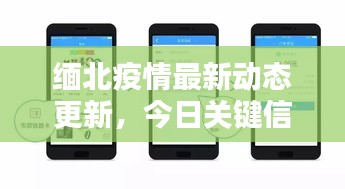 缅北疫情最新动态更新，今日关键信息一网打尽