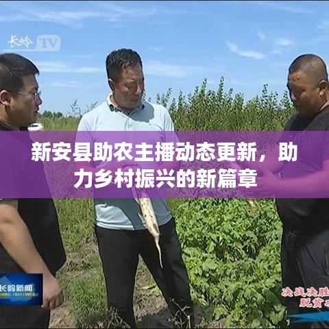 新安县助农主播动态更新，助力乡村振兴的新篇章